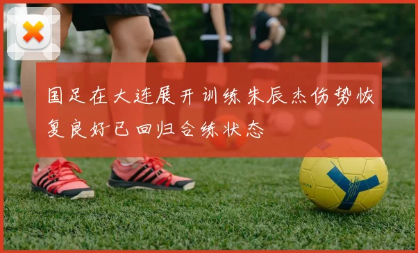 国足在大连展开训练朱辰杰伤势恢复良好已回归合练状态